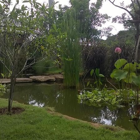เดอะ ฟร้อก เขาใหญ่ รีสอร์ท หมูสี ภายนอก รูปภาพ
